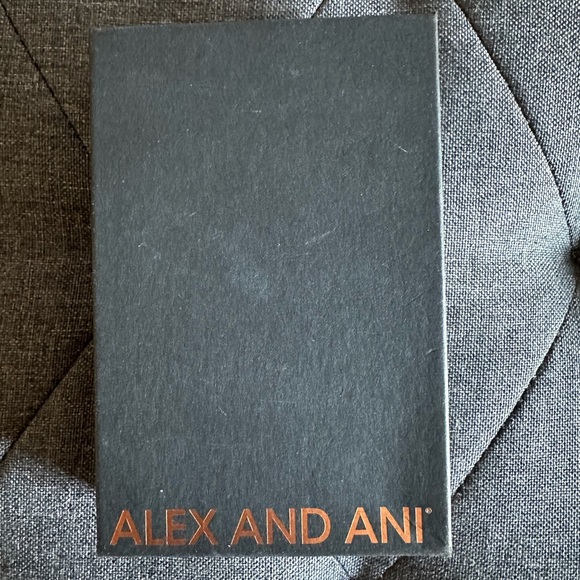 Alex and Ani Silver Love and Protection Ornaments - Picture 5 of 5